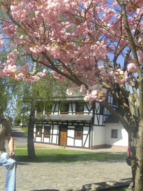 Ferienhaus Schmitt